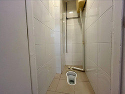 Pastoral View (D11), Apartment #551755961